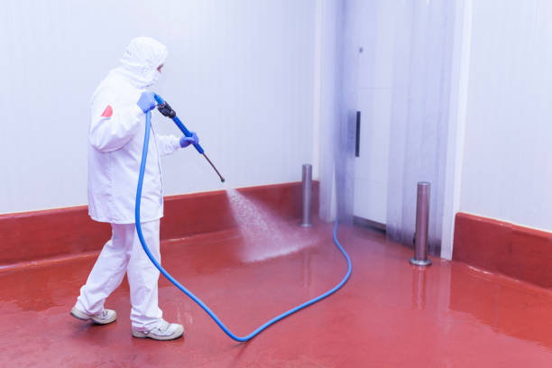 Best Pre-Holiday Cleaning  in Rio Del Mar, CA